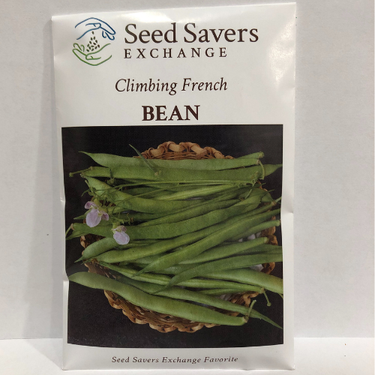 Climbing French Bean, 1931 Heirloom